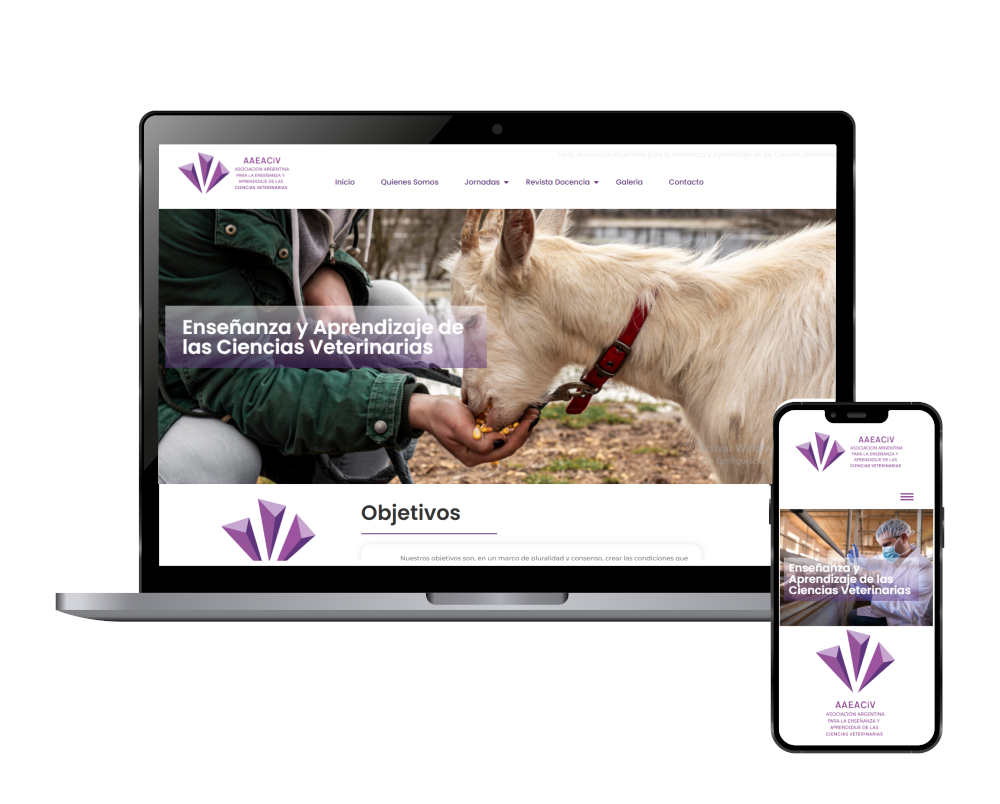 ¡Estrenamos nuevo sitio web!